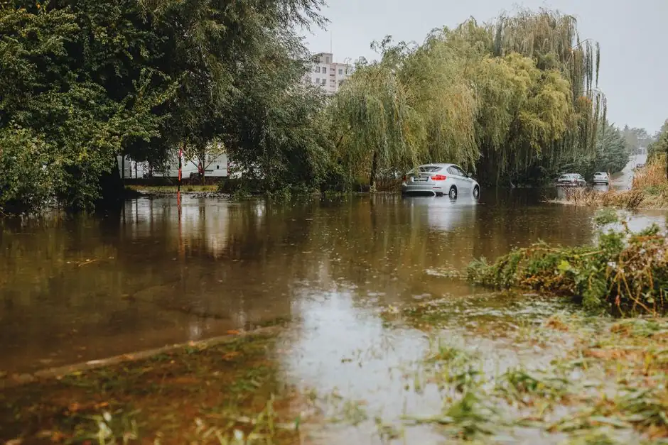 Why is my basement flooding in Dallas after heavy rain?